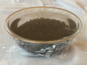 Brazilian Black Beans