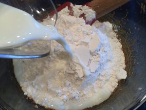 Cherokee Molasses Bars Cherokee Molasses Bars
